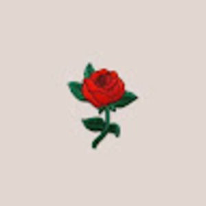 Meet your Posher, Mitzi